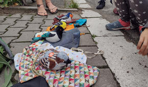 Edukativní ornitologická procházka