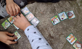 Edukativní ornitologická procházka